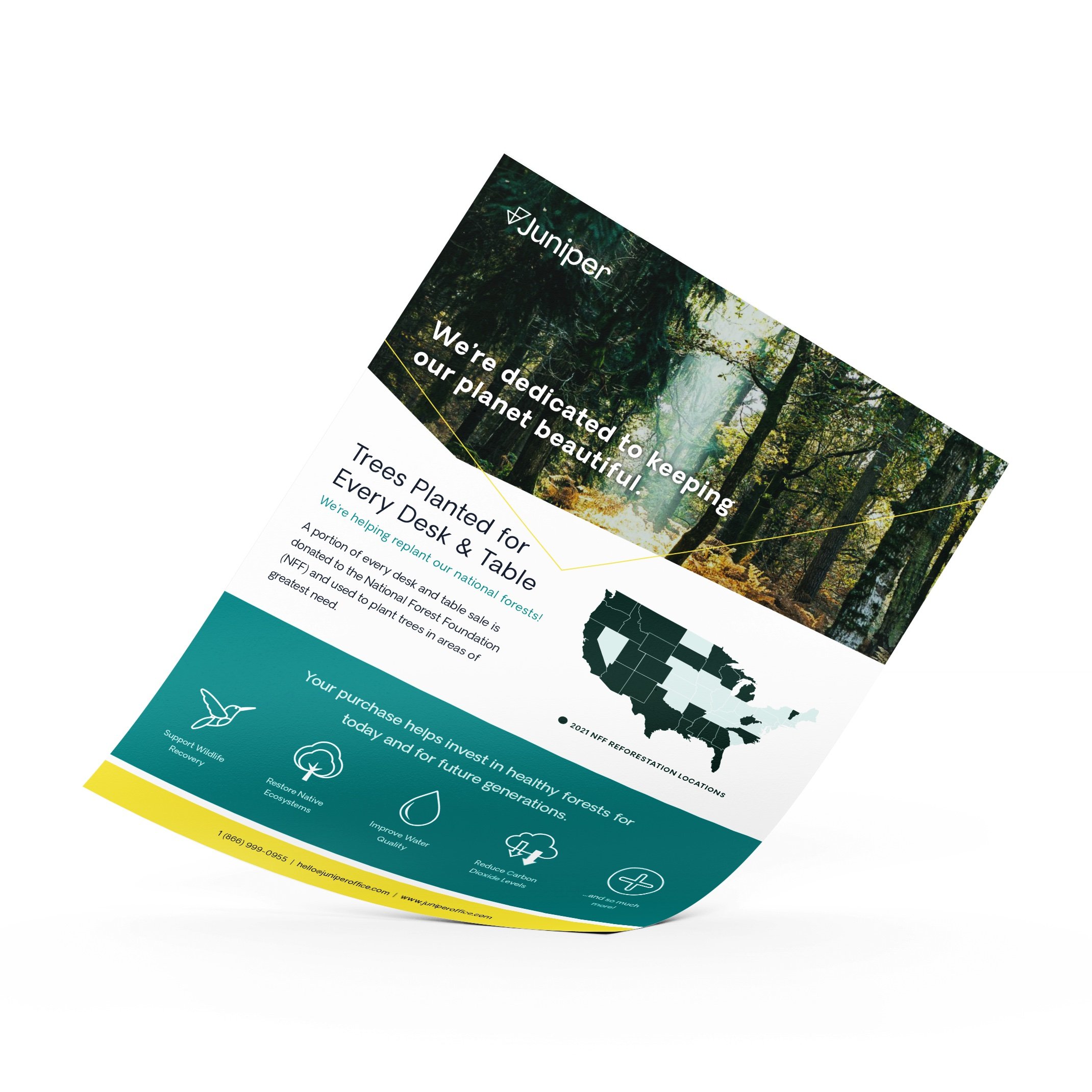 Juniper Office Tree Initiative